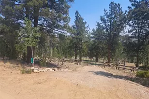 2338 Fitzsimmons Rd, Hartsel, CO 80449 - Photo 1