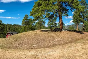 3375 Timbergate Trail, Evergreen, CO 80439 - Photo 37