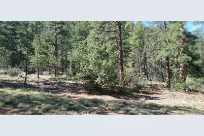 938 18th Trail, Cotopaxi, CO 81223 - Photo 33