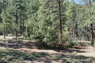 938 18th Trail, Cotopaxi, CO 81223 - Photo 33
