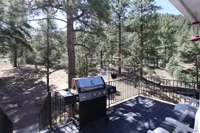938 18th Trail, Cotopaxi, CO 81223 - Photo 5