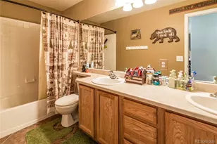 15957 Brooklime Ct, Parker, CO 80134 - Photo 23
