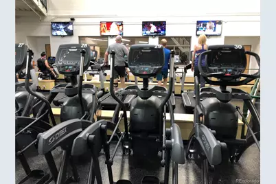 8573 Mallard Court, Highlands Ranch, CO 80126 - Photo 41