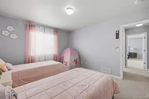 13796 Park Meadows Dr, Peyton, CO 80831 - Photo 23
