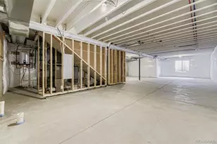 641 Bistort Pt, Castle Rock, CO 80104 - Photo 23