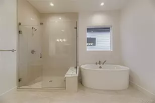 641 Bistort Pt, Castle Rock, CO 80104 - Photo 17