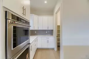 641 Bistort Pt, Castle Rock, CO 80104 - Photo 11