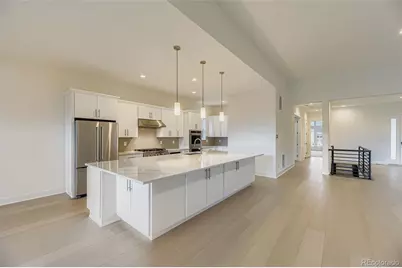 641 Bistort Point, Castle Rock, CO 80104 - Photo 9