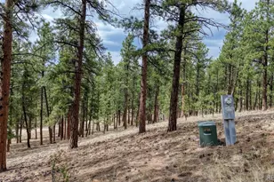 453 Black Fawn Ln, Westcliffe, CO 81252 - Photo 27