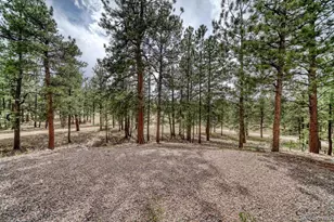 453 Black Fawn Ln, Westcliffe, CO 81252 - Photo 25
