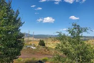 14077 S State Hwy 67, Woodland Park, CO 80863 - Photo 39