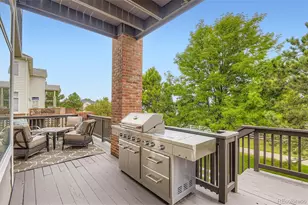 7923 Witney Pl, Lone Tree, CO 80124 - Photo 41