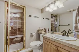 7923 Witney Pl, Lone Tree, CO 80124 - Photo 39