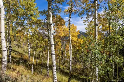 002 Seldon Seen Road, Golden, CO 80403 - Photo 13