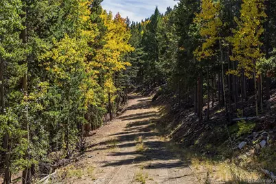 002 Seldon Seen Road, Golden, CO 80403 - Photo 11