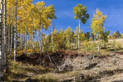002 Seldon Seen Road, Golden, CO 80403 - Photo 9