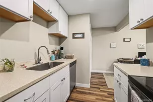 4529 S Lowell Blvd, Denver, CO 80236 - Photo 3