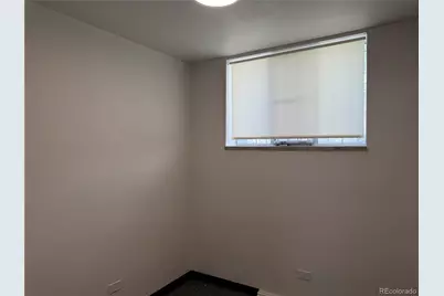 1709 Williams, Denver, CO 80218 - Photo 19