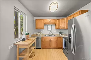 271 N Grant St, Denver, CO 80203 - Photo 13