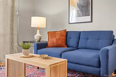 271 N Grant Street #303, Denver, CO 80203 - Photo 5