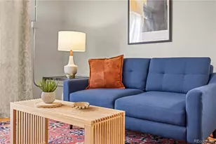271 N Grant St, Denver, CO 80203 - Photo 5