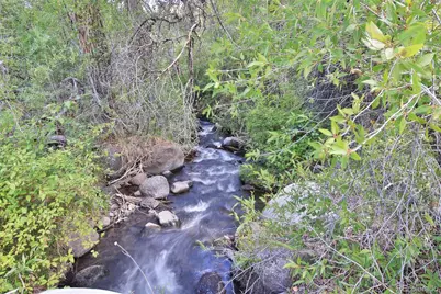 9681 56 2/10 Road, Molina, CO 81646 - Photo 31