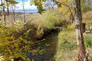 23567 County Road J 2, San Luis, CO 81152 - Photo 11