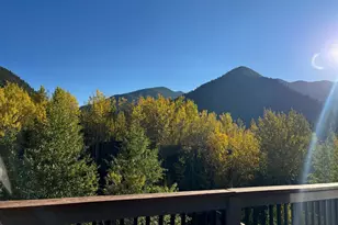 188 E Clear Crk Dr, Empire, CO 80438 - Photo 45