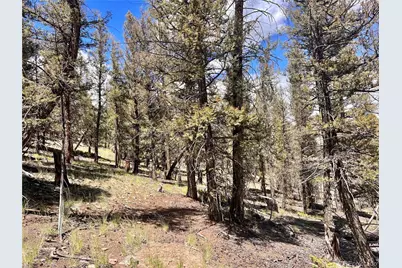 3015 Redhill Road, Fairplay, CO 80440 - Photo 15