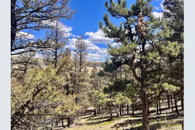 3015 Redhill Road, Fairplay, CO 80440 - Photo 23