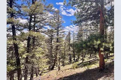 3015 Redhill Road, Fairplay, CO 80440 - Photo 31