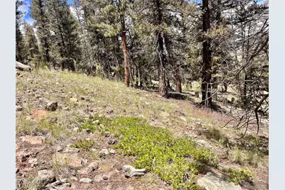 3015 Redhill Road, Fairplay, CO 80440 - Photo 21