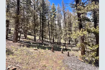 3015 Redhill Road, Fairplay, CO 80440 - Photo 35