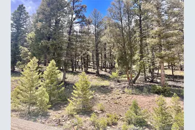 3015 Redhill Road, Fairplay, CO 80440 - Photo 1