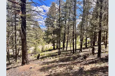 3015 Redhill Road, Fairplay, CO 80440 - Photo 17