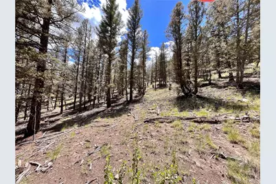 3015 Redhill Road, Fairplay, CO 80440 - Photo 25