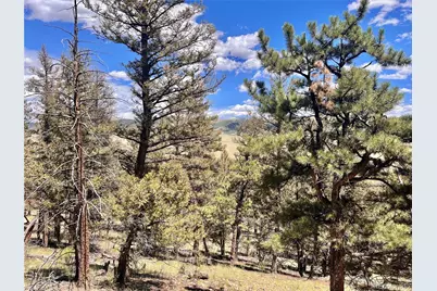 3015 Redhill Road, Fairplay, CO 80440 - Photo 13