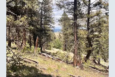 3015 Redhill Road, Fairplay, CO 80440 - Photo 33