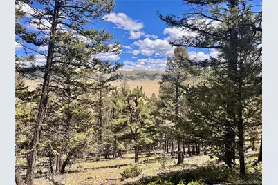 3015 Redhill Road, Fairplay, CO 80440 - Photo 9