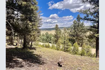 3015 Redhill Road, Fairplay, CO 80440 - Photo 3