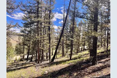 3015 Redhill Road, Fairplay, CO 80440 - Photo 19