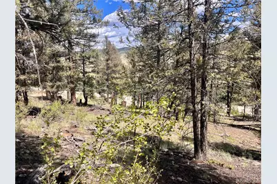 3015 Redhill Road, Fairplay, CO 80440 - Photo 7