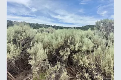 Lot 38 Wildhorse Drive, San Luis, CO 81152 - Photo 13