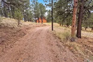 113 Blackberry Ct, Westcliffe, CO 81252 - Photo 15