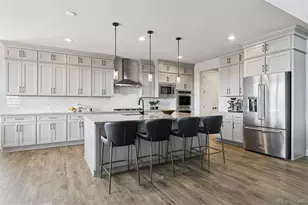 3461 Vamoose Ct, Castle Rock, CO 80108 - Photo 19