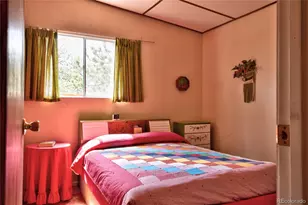 490 Teller St, Lake George, CO 80827 - Photo 13