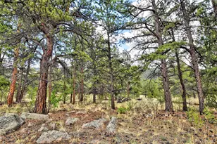 490 Teller St, Lake George, CO 80827 - Photo 21