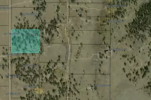 490 Teller St, Lake George, CO 80827 - Photo 25