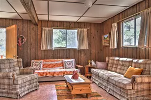 490 Teller St, Lake George, CO 80827 - Photo 5