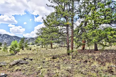 490 Teller Street, Lake George, CO 80827 - Photo 23